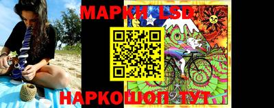 спиды Кингисепп