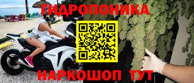 спиды Кингисепп