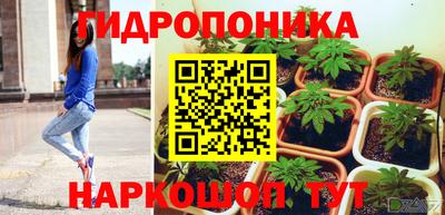 спиды Кингисепп