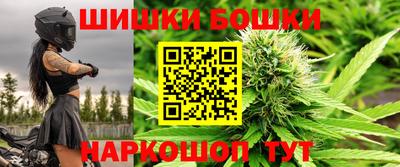 спиды Кингисепп