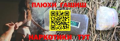 спиды Кингисепп