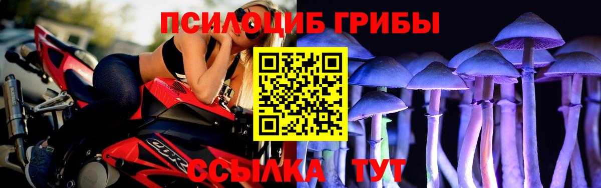 Псилоцибиновые грибы GOLDEN TEACHER  Вход с VPN  Коряжма  Псилоцибиновые грибы мухоморы 